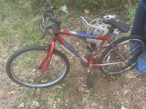 lot 1609 image: 24 roadmaster mt.fury