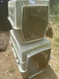 lot 1773 image: 2 dog crates and 1 dog pen