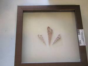 lot 103 image: framed shell art size unknown approx. 88