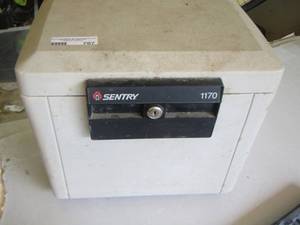 lot 707 image: sentry safe
