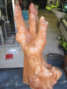 lot 1235 image: CYPRESS ROOT