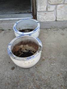 lot 1692 image: qty 2 white and blue planter pots