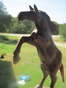 lot 1866 image: WOOD CARVING OF A STALLION - BROKEN FRONT LEG