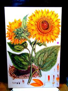 lot 133 image: LARGE TEXTURED WALL DISPLAY FEATURING BRIGHT SUNFLOWERS - 20 X 30 