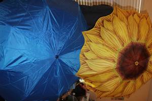 lot 202 image: Two Umbrellas