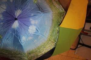 lot 204 image: Three Umbrellas