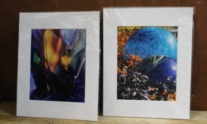 lot 119 image: 2 framed prints by Debra Allison