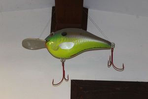 lot 207 image: Huge Rapala display fishing lure