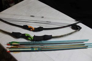 lot 253 image: Barnett Compound and recurve bows with arrows (Bid is times the quantity of 2)