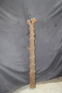 lot 354 image: Cast Iron Tree Branch