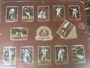 lot 205 image: ARIZONA DIAMOND BACKS 2007 National League Champions - 12 CARDS  SIGNED  & FRAMED  - SEE DESCRIPTION