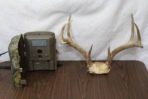 lot 291 image: deer camera and deer horns