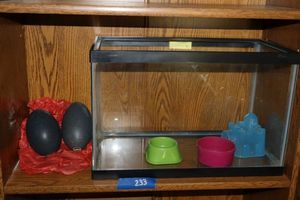 lot 233 image: Two emu eggs and terrarium tank