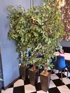 lot 62 image: Lot of 3 Artificial Ficus Trees w Metal Pot