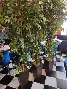 lot 63 image: Lot of 3 Artificial Ficus Trees w Metal Pot