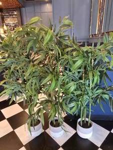 lot 64 image: Lot of 3 Artificial Bamboo Trees w Ceramic Pots