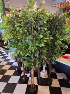 lot 67 image: Large Lot of 16 Artifical Trees
