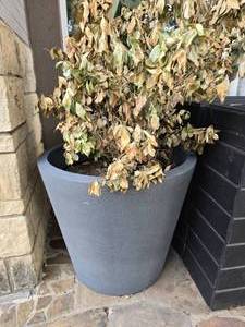 lot 86 image: LARGE Grey Planter Pot