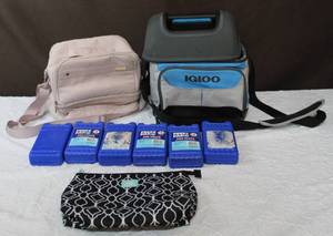 lot 88 image: Igloo cooler with hard ice packs small igloo lunch bag and other see pictures