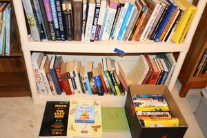 lot 66 image: Adult books Business management, Nature, travel, and novels
