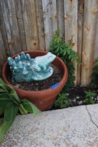 lot 263 image: Garden planter with garden frog