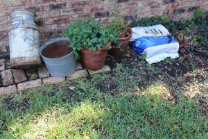 lot 340 image: Vintage dairy milk can, galvanized tub, peat moss, and planters