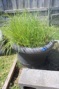 lot 339 image: Large planter