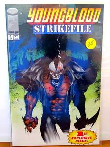 lot 35 image: YOUNGBLOOD STRIKEFILE Vol 1 No 1 First Printing Image Comics (April 1993) NM $$