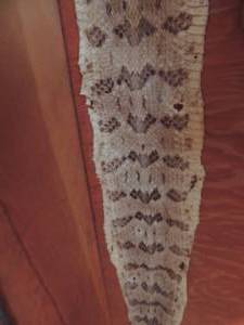 lot 1000 image: snake skin