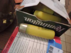 lot 959 image: remington ammo 20 ga shells