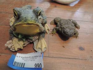 lot 990 image: frog dcor