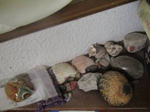 lot 55 image: various stones and seashells