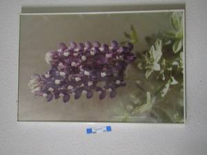 lot 85 image: art3020