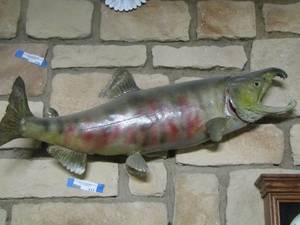 lot 117 image: CHINOOK SALMON  33 X 12
