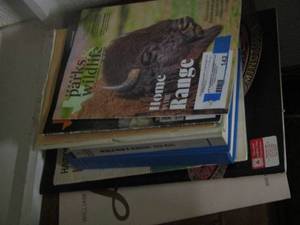 lot 142 image: BOOK LOT - see pics for AUTHORS