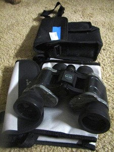 lot 223 image: pair of binoculars with case