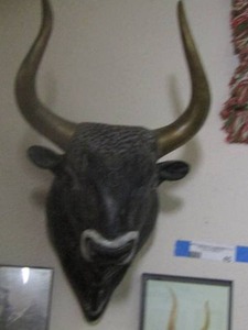 lot 45 image: MINOAN ART - BULLS HEAD   ( only the bull)