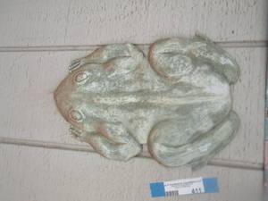 lot 411 image: wall climbing frog