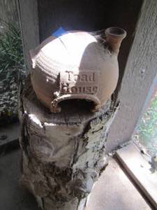 lot 419 image: toad house pretty cool