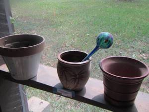 lot 443 image: plant pots with palm trees  qty 3