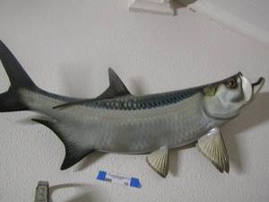 lot 10 image: Mounted Tarpon fish 31