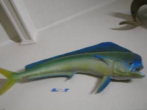 lot 19 image: Mahi- Mahi 4418