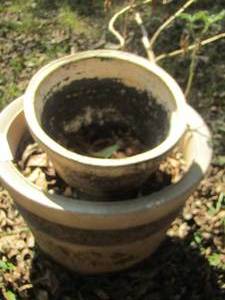 lot 1540 image: outdoor planters qty 2