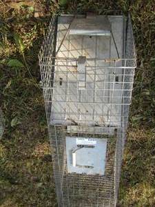 lot 1541 image: live animal trap in great condition
