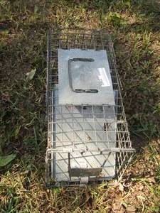 lot 1542 image: small live animal trap