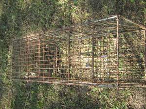 lot 1543 image: large live animal trap