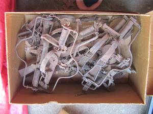 lot 1798 image: small animal traps
