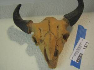lot 1573 image: small bull skull