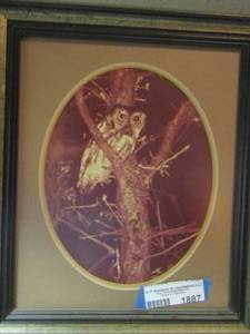 lot 1887 image: framed owl art