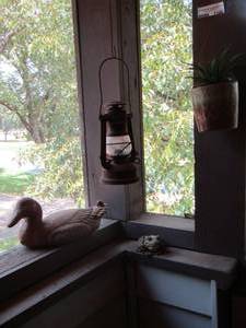 lot 1146 image: Duck planter- light - wall plant hanger pot